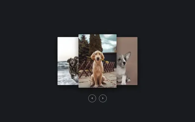 Aperçu de Carousel with Hover Effect